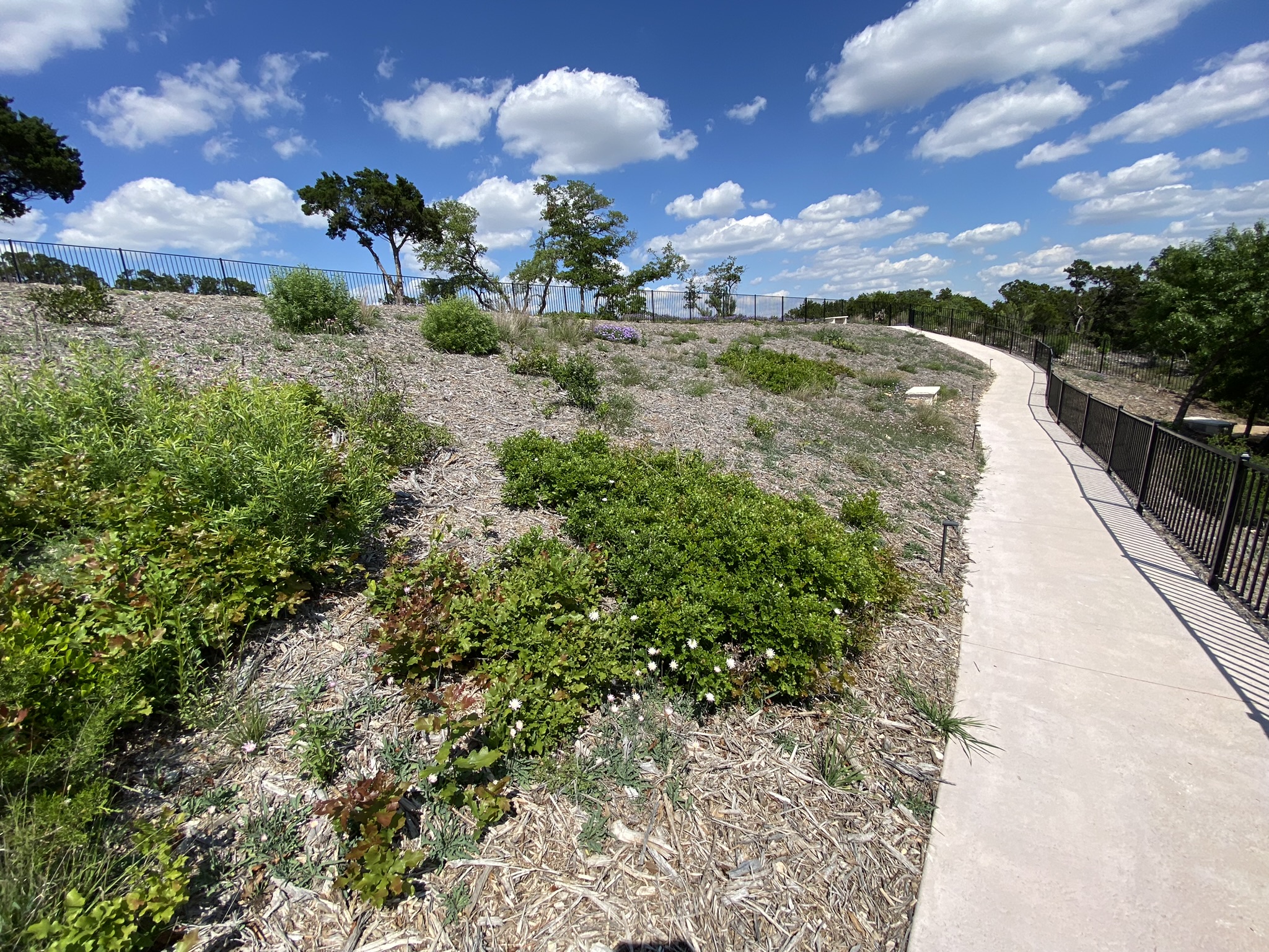 Walking path around natural area